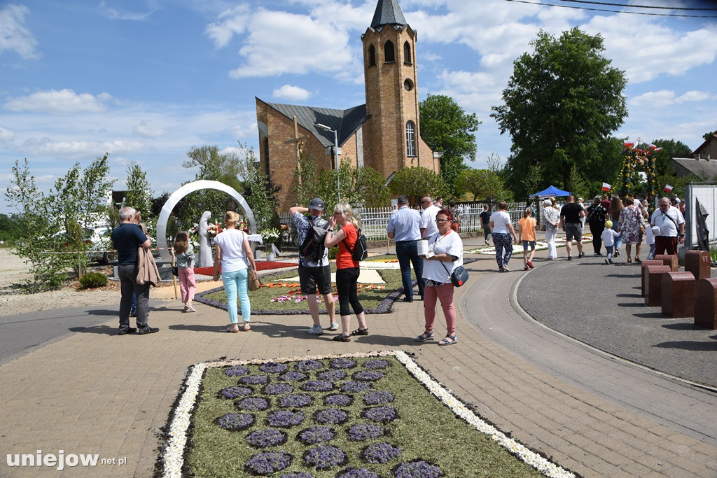 Kwietne dywany w Spycimierzu 2021