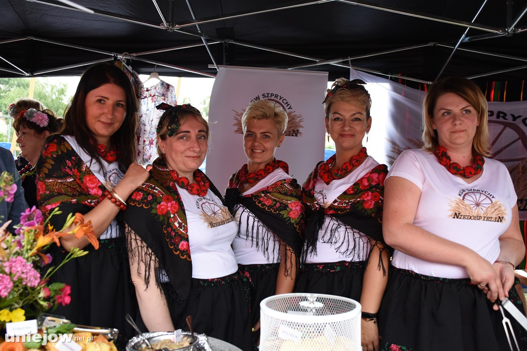  Festiwal Kół Gospodyń Wiejskich Polska Od Kuchni w Uniejowie