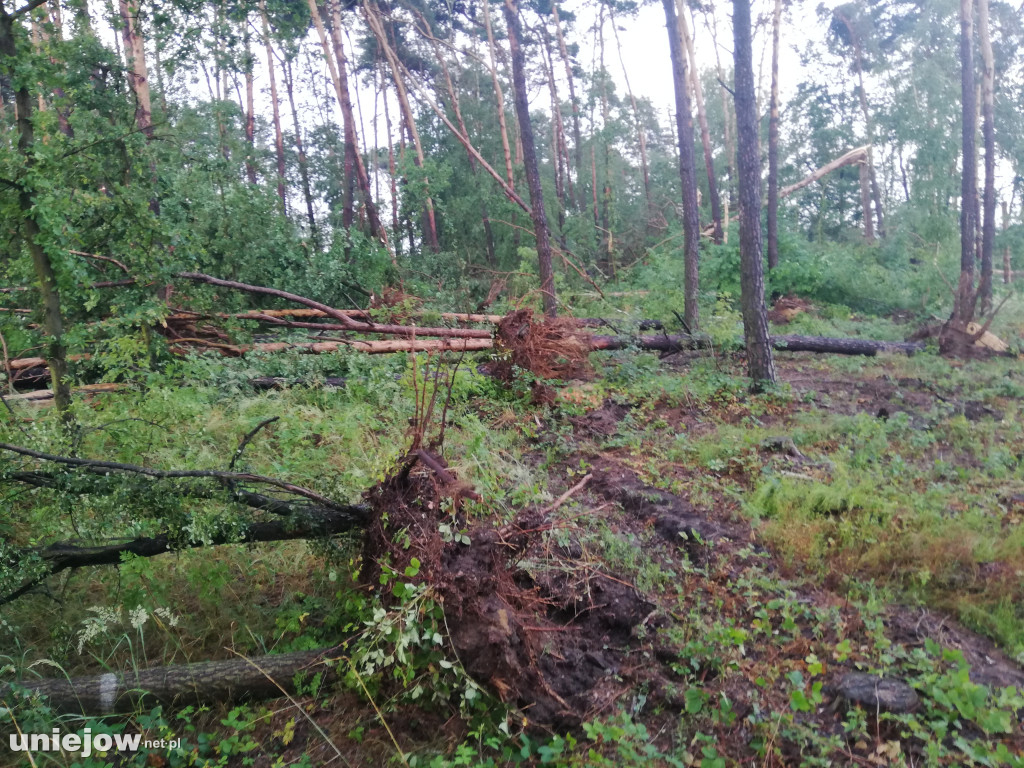 Lipcowe nawałnice