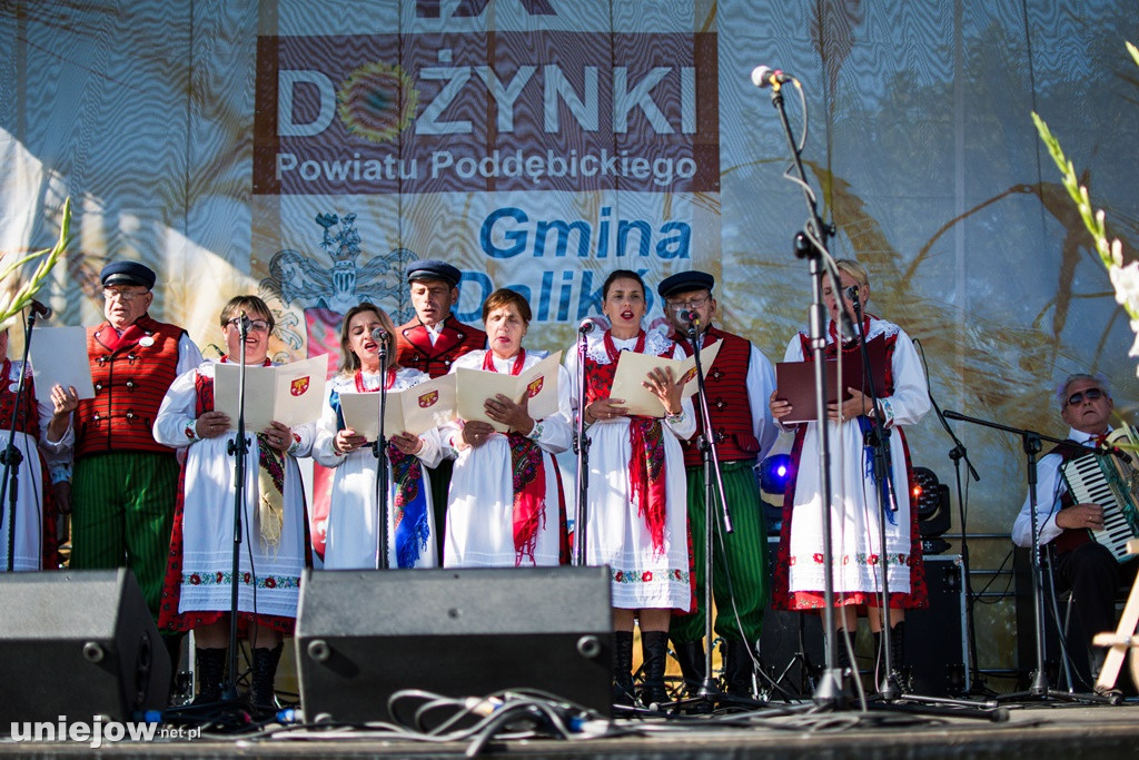 IX Dożynki Powiatu Poddębickiego w Dalikowie