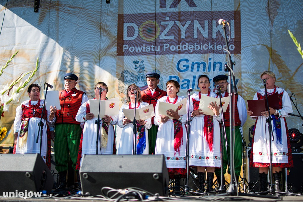 IX Dożynki Powiatu Poddębickiego w Dalikowie