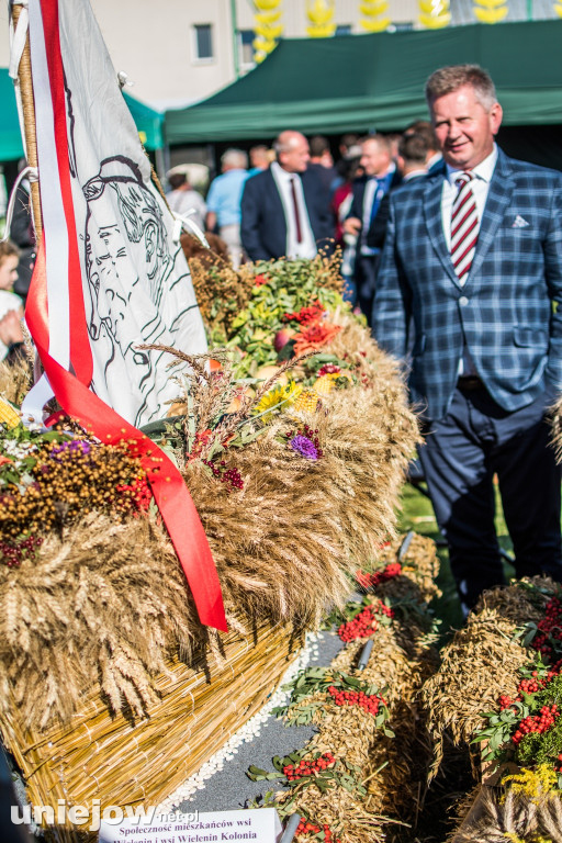 IX Dożynki Powiatu Poddębickiego w Dalikowie