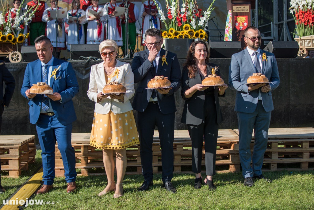 IX Dożynki Powiatu Poddębickiego w Dalikowie