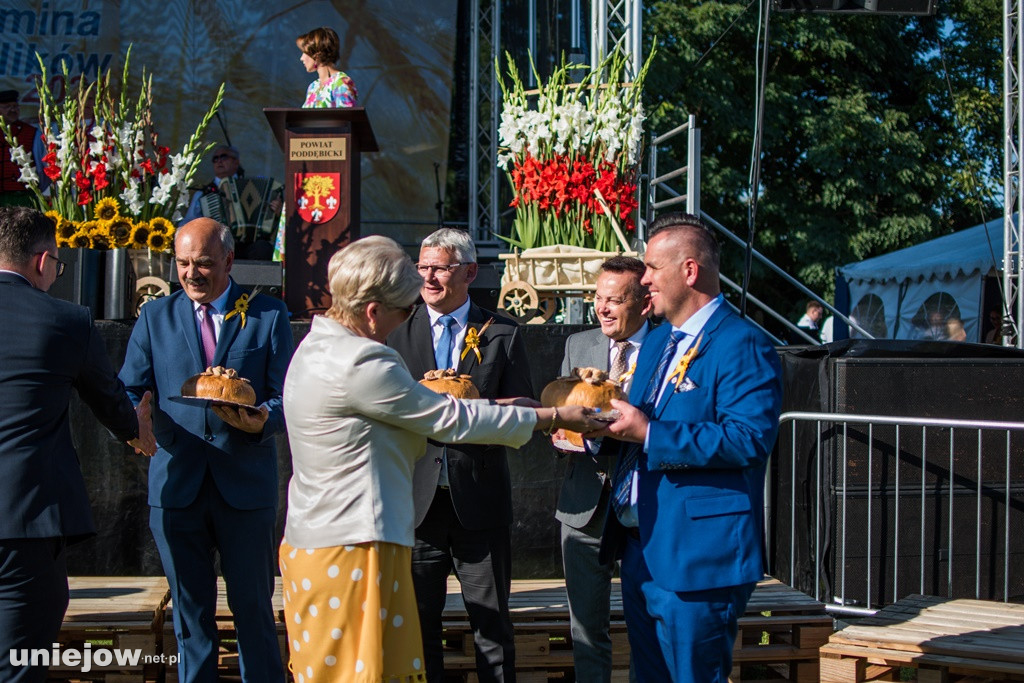 IX Dożynki Powiatu Poddębickiego w Dalikowie