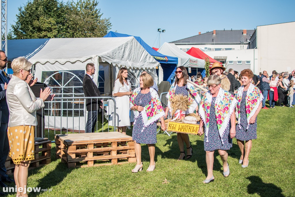 IX Dożynki Powiatu Poddębickiego w Dalikowie