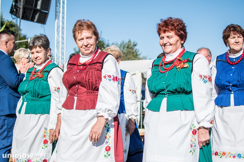 IX Dożynki Powiatu Poddębickiego w Dalikowie
