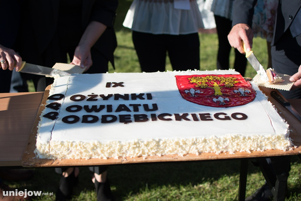 IX Dożynki Powiatu Poddębickiego w Dalikowie
