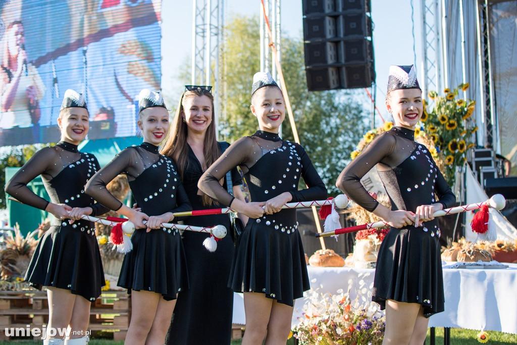 IX Dożynki Powiatu Poddębickiego w Dalikowie