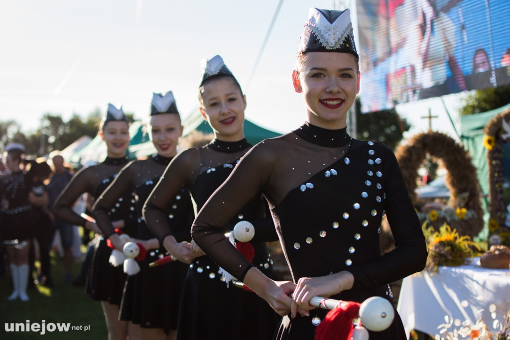 IX Dożynki Powiatu Poddębickiego w Dalikowie