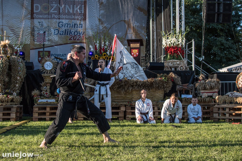 IX Dożynki Powiatu Poddębickiego w Dalikowie