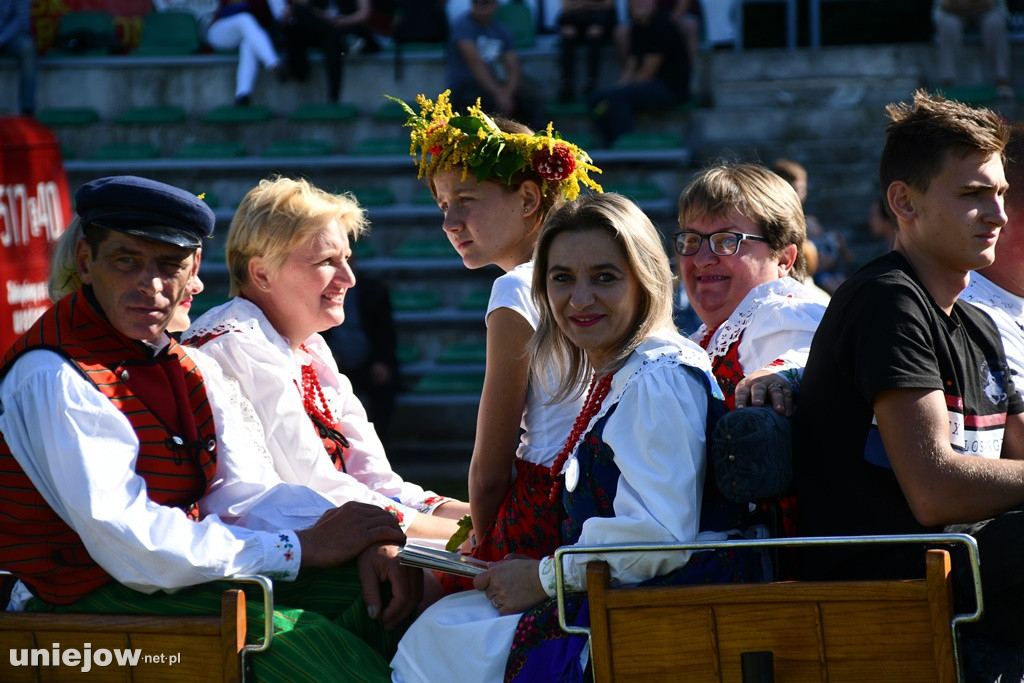 IX Dożynki Powiatu Poddębickiego w Dalikowie