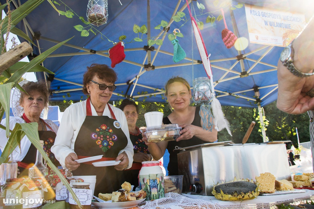 IX Dożynki Powiatu Poddębickiego w Dalikowie