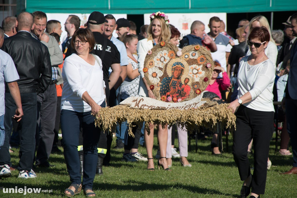 IX Dożynki Powiatu Poddębickiego w Dalikowie