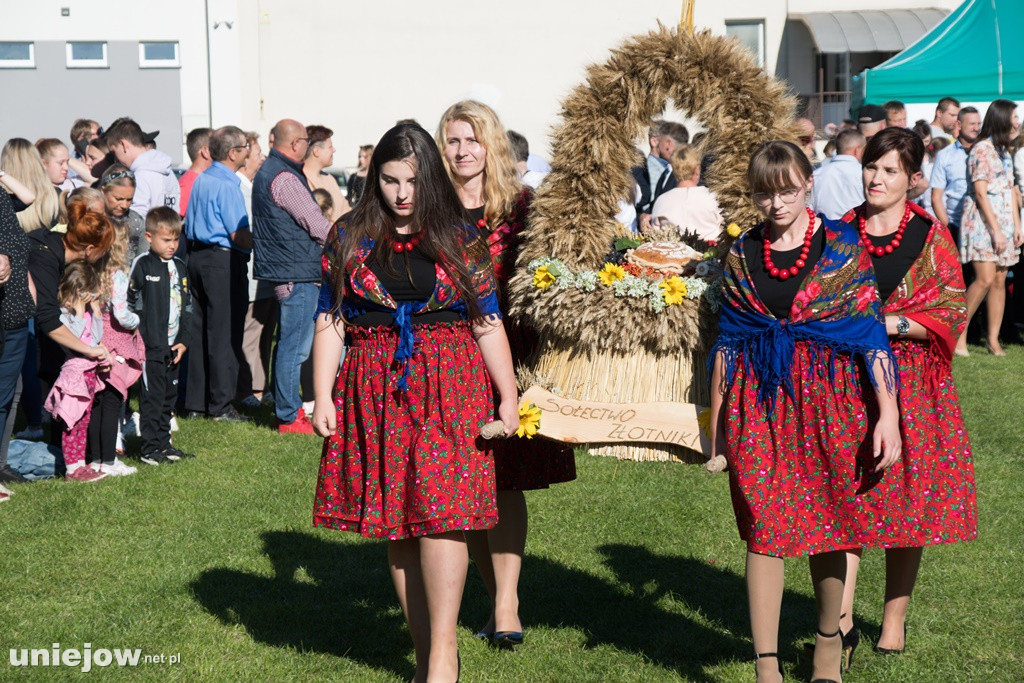IX Dożynki Powiatu Poddębickiego w Dalikowie