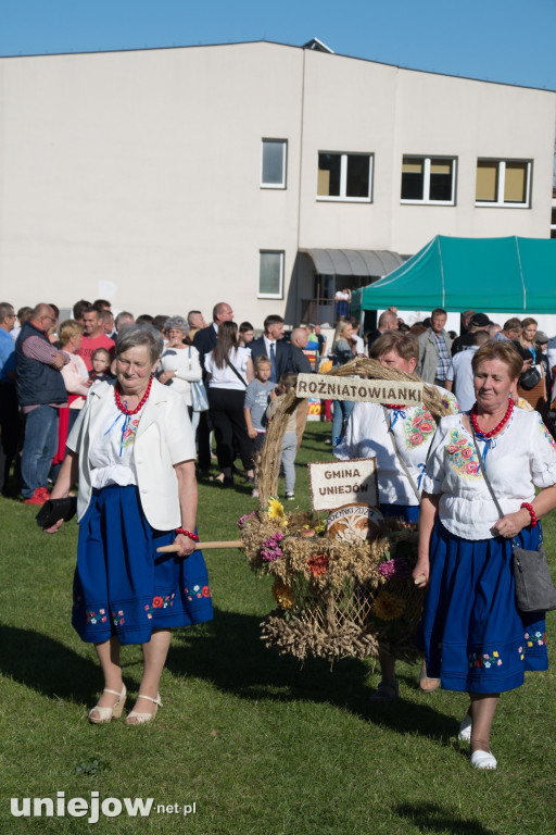 IX Dożynki Powiatu Poddębickiego w Dalikowie
