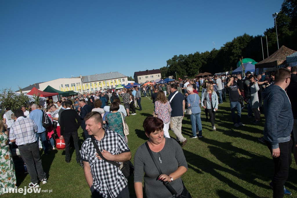 IX Dożynki Powiatu Poddębickiego w Dalikowie