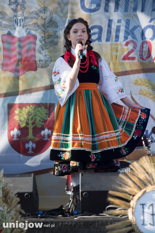 IX Dożynki Powiatu Poddębickiego w Dalikowie