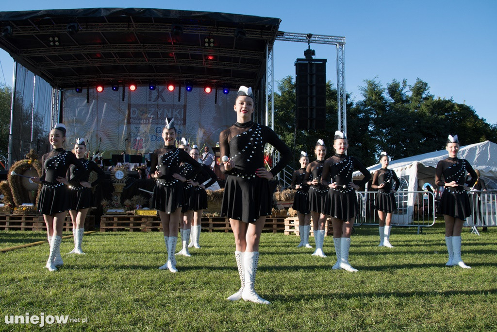 IX Dożynki Powiatu Poddębickiego w Dalikowie