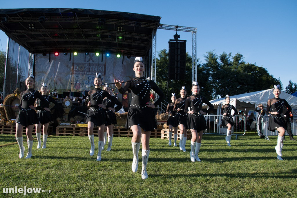 IX Dożynki Powiatu Poddębickiego w Dalikowie