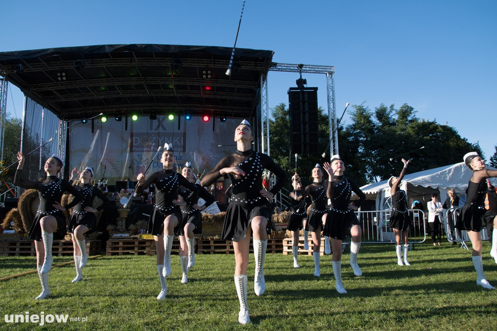 IX Dożynki Powiatu Poddębickiego w Dalikowie