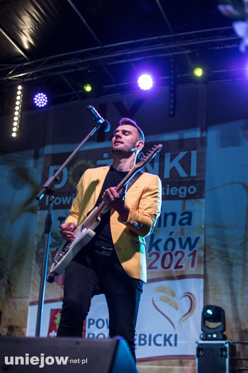 IX Dożynki Powiatu Poddębickiego w Dalikowie