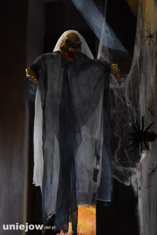 Halloween w Pico Bello