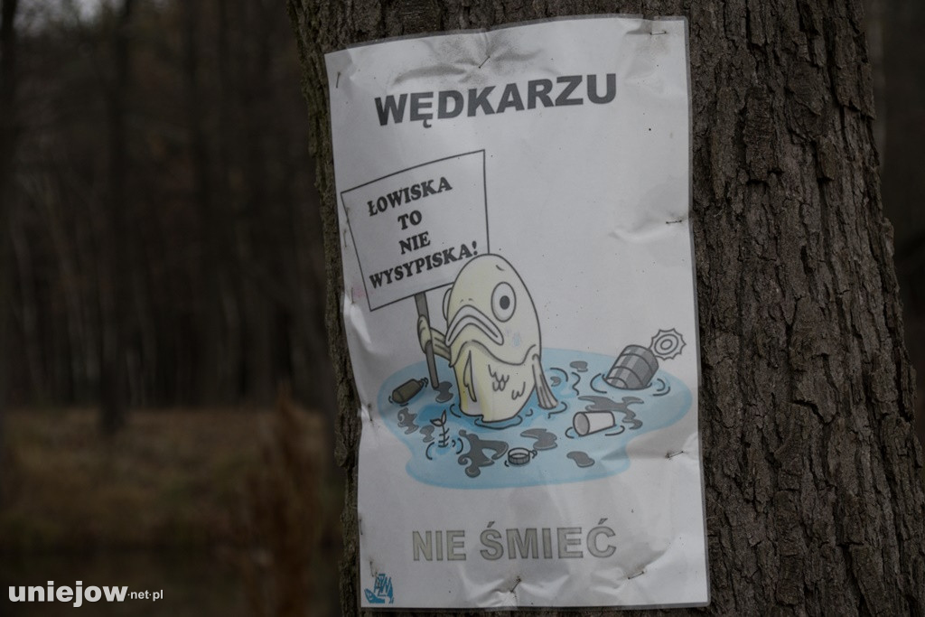 Zawody wędkarskie z okazji rocznicy odzyskania niepodległości