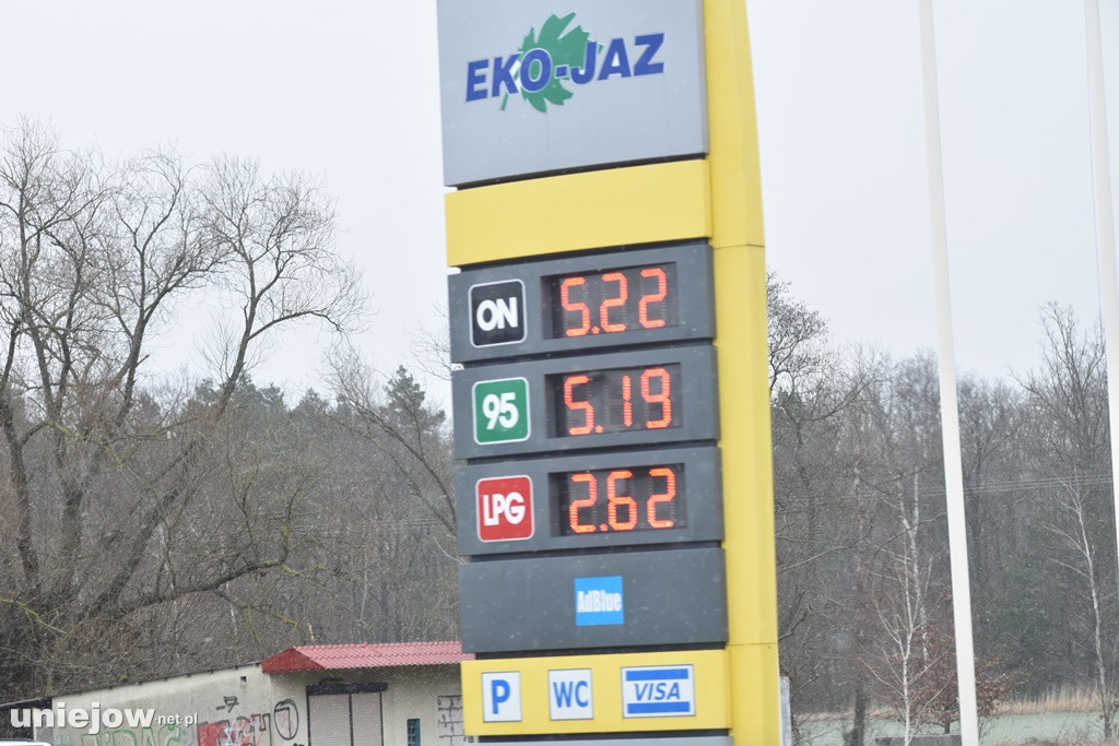 Sprawdź ceny pali w Uniejowie po obniżce Vatu