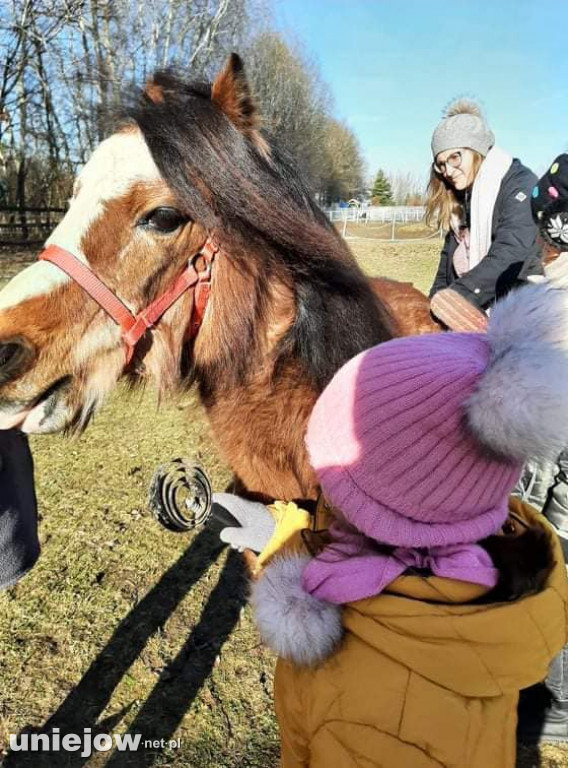 Walentynki w Ktosiowie, czyli jak ratują konie