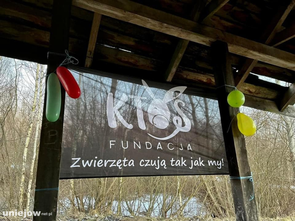 Walentynki w Ktosiowie, czyli jak ratują konie