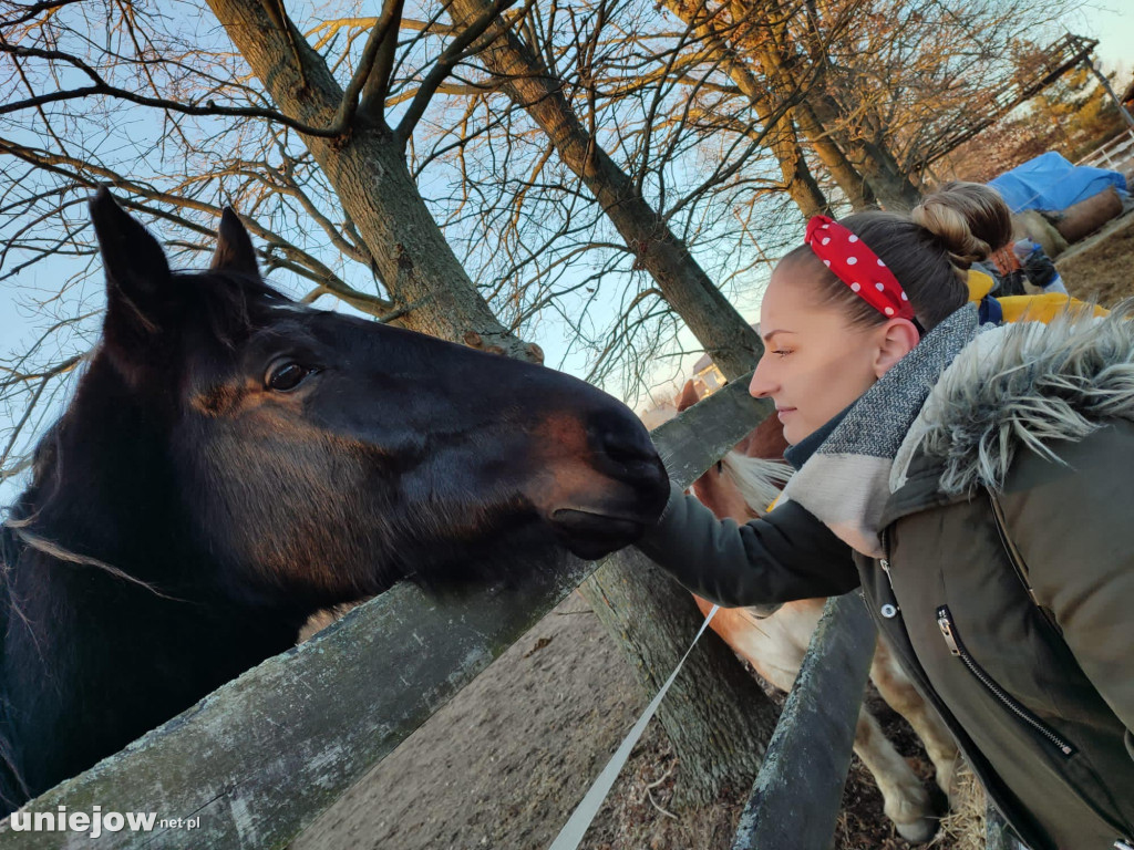 Walentynki w Ktosiowie, czyli jak ratują konie