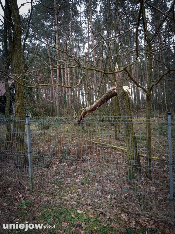 Wichury przeszły przez Uniejów i okolice. Wasze zdjęcia