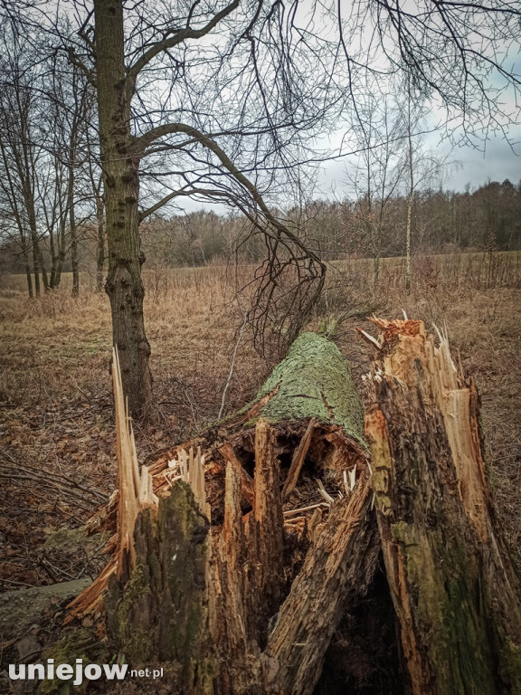 Wichury przeszły przez Uniejów i okolice. Wasze zdjęcia