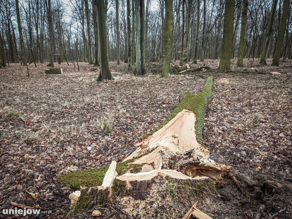 Wichury przeszły przez Uniejów i okolice. Wasze zdjęcia