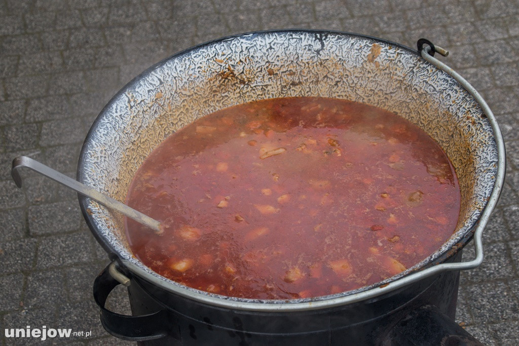 Pierwszy piknik dla Ukrainy w Uniejowie