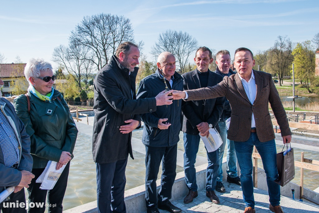 W Winnicy Bogumiła zasadzono pierwsze winorośle. Z