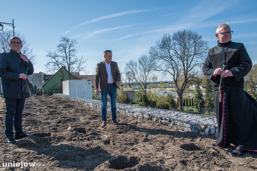 W Winnicy Bogumiła zasadzono pierwsze winorośle. Z