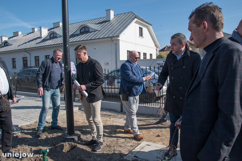 W Winnicy Bogumiła zasadzono pierwsze winorośle. Z