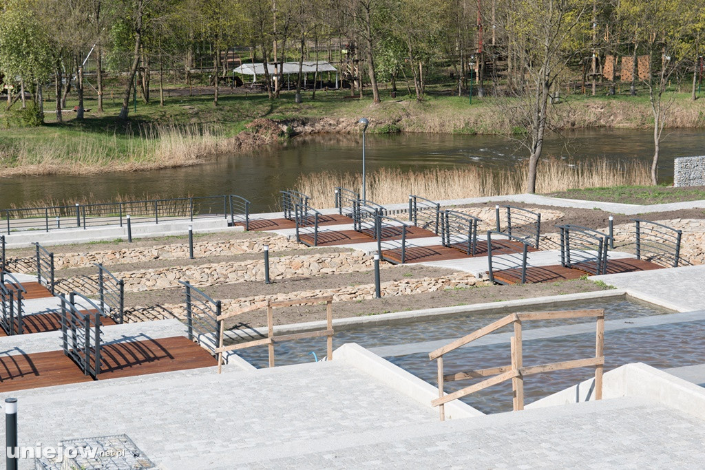 W Winnicy Bogumiła zasadzono pierwsze winorośle. Z