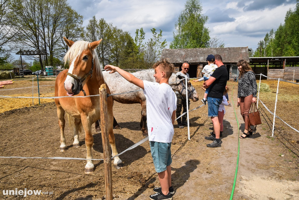 Majówka w Ktosiowie wśród koni
