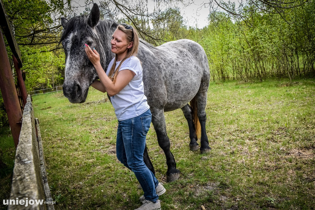 Majówka w Ktosiowie wśród koni