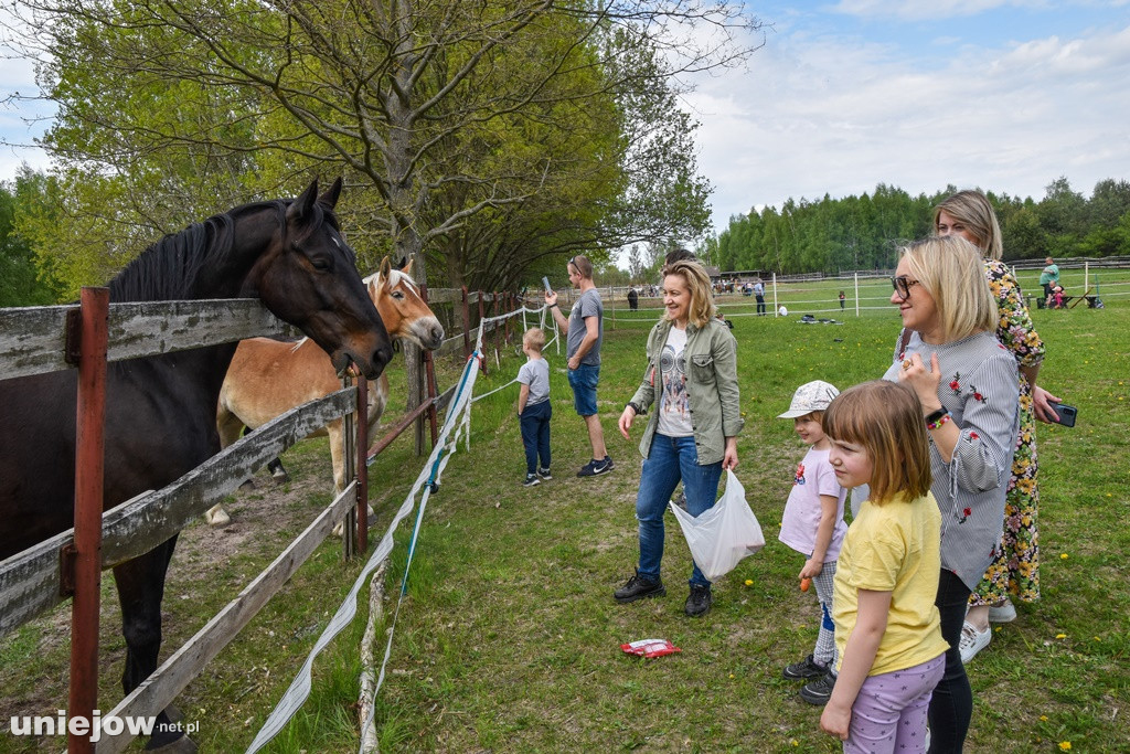 Majówka w Ktosiowie wśród koni