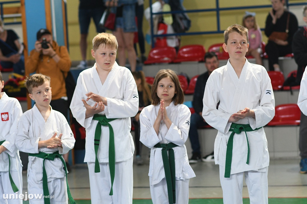 VIII Turniej Małego Karateki