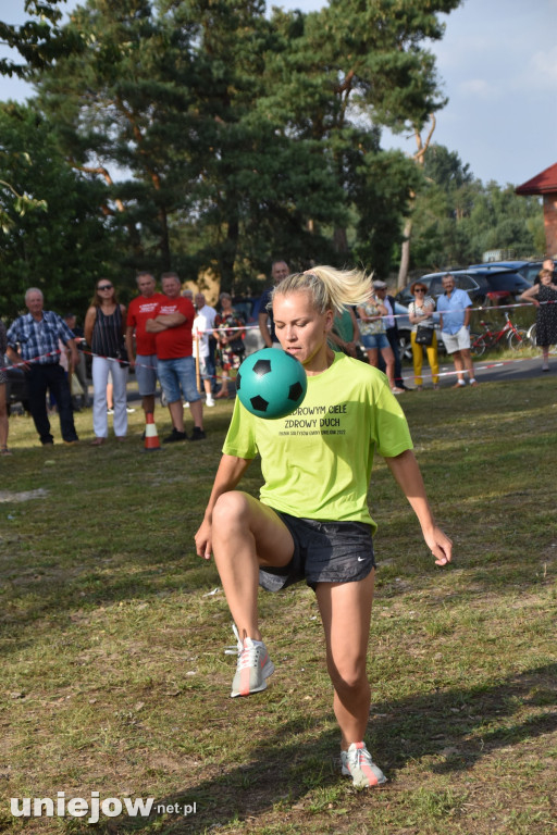 XXI Piknik Sołtysów w Ostrowsku