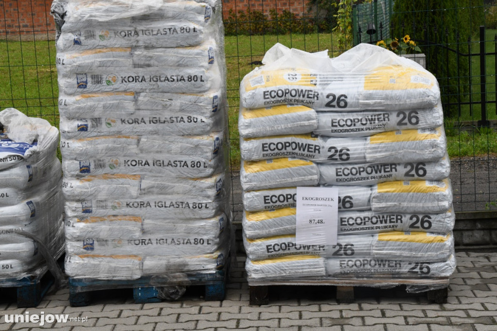 MiniMrówka w Uniejowie świętuje 1. urodziny