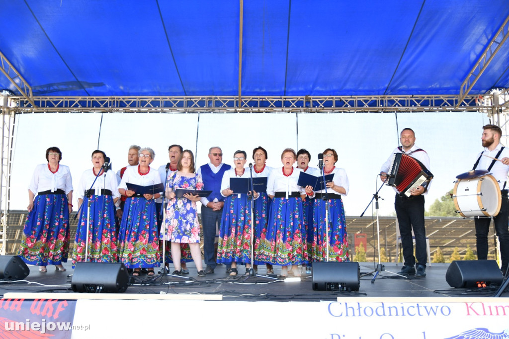 W Uniejowie rwa X Festiwal Lawendy