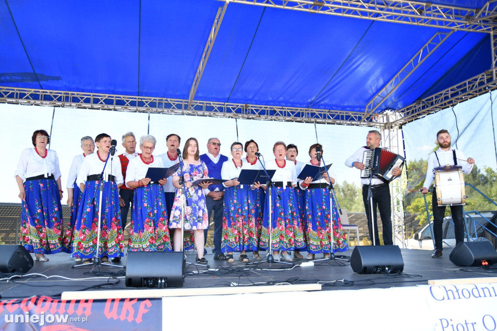 W Uniejowie rwa X Festiwal Lawendy