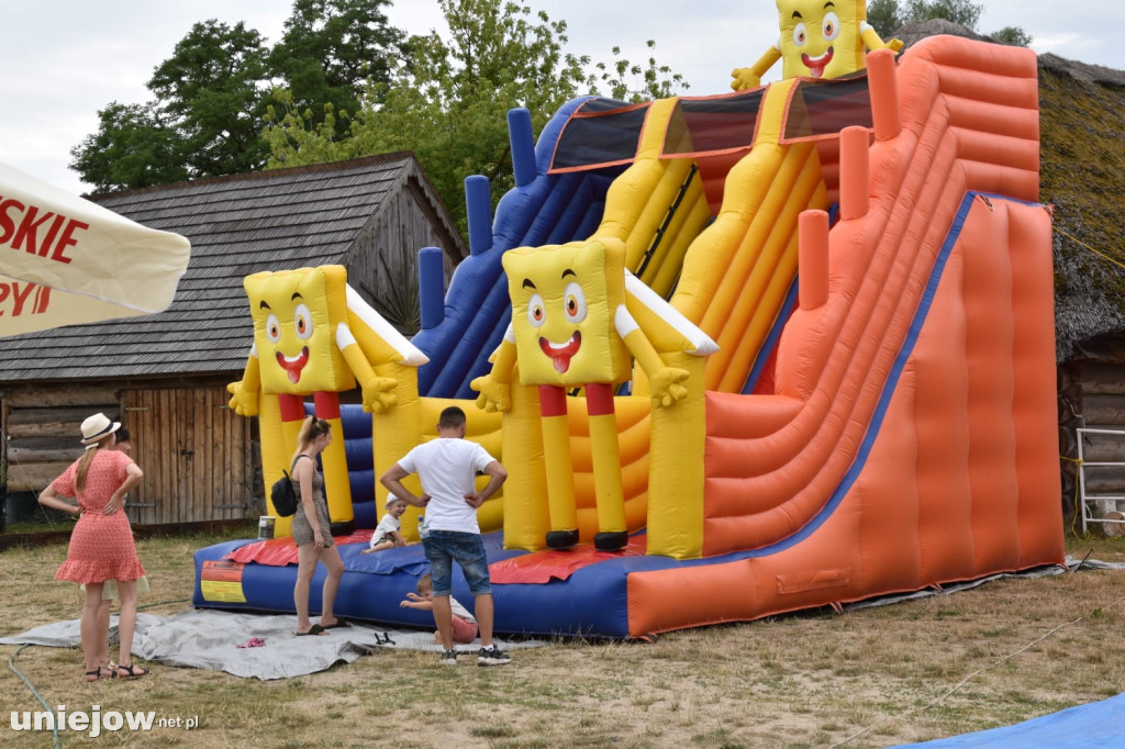 Piknik strażacki w Felicjanowie
