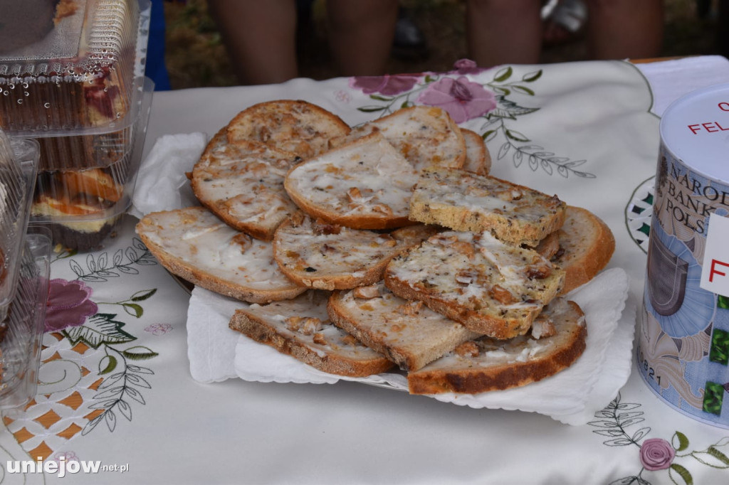 Piknik strażacki w Felicjanowie