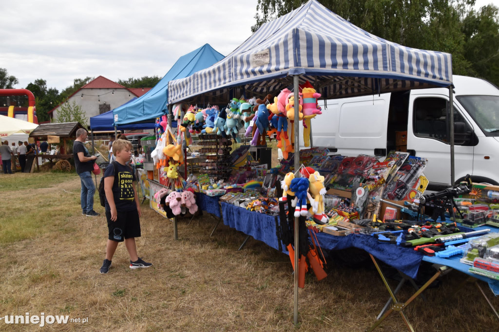 Piknik strażacki w Felicjanowie